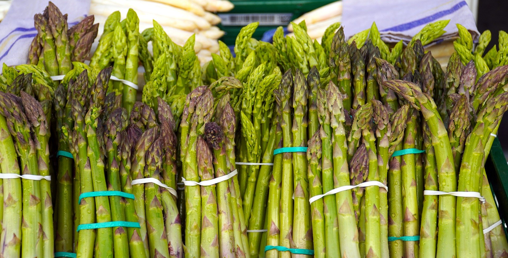 Heute schon Spargel gegessen? – Saisonstart für heimisches Gemüse